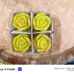 WhatsApp Image 2026-02-24 at 1.35.11 PM (2)