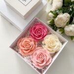 WhatsApp Image 2026-04-09 at 3.40.24 PM